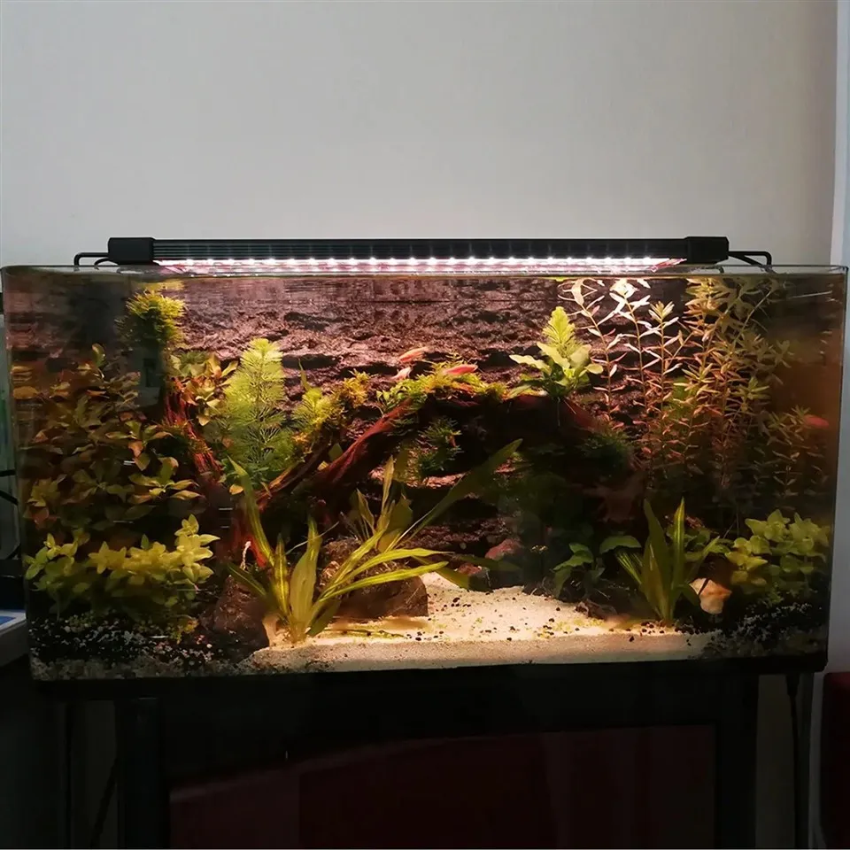 adjustable fish tank light 01(001)