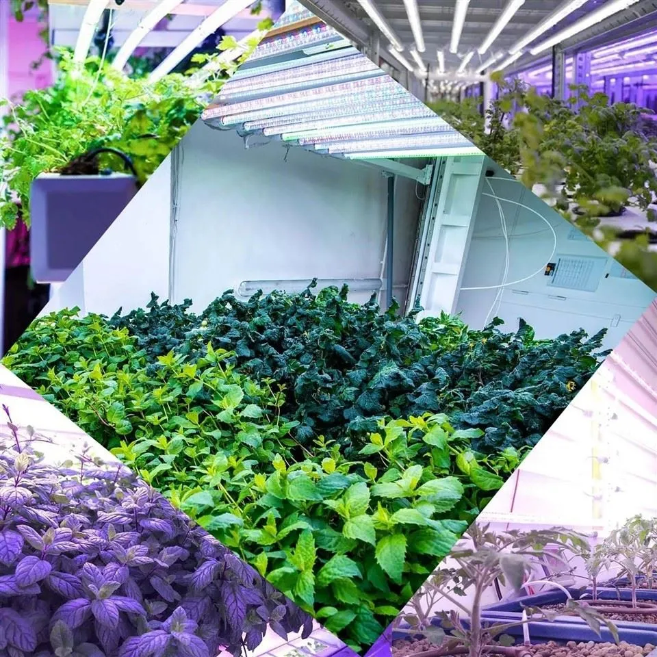 full spectrum led tubes 7(001)