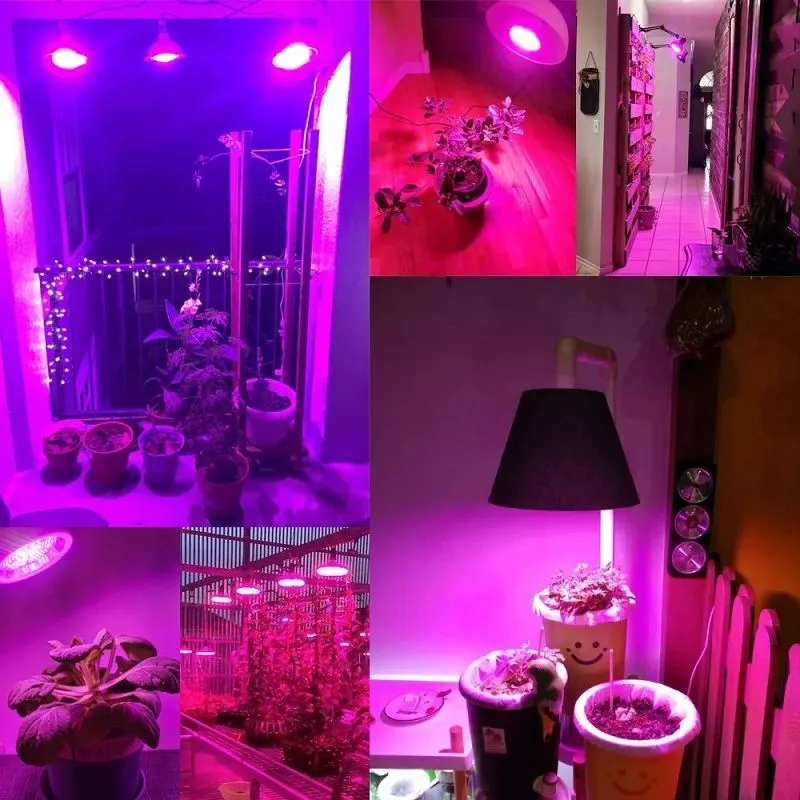 outdoor grow light bulbs 5(001)