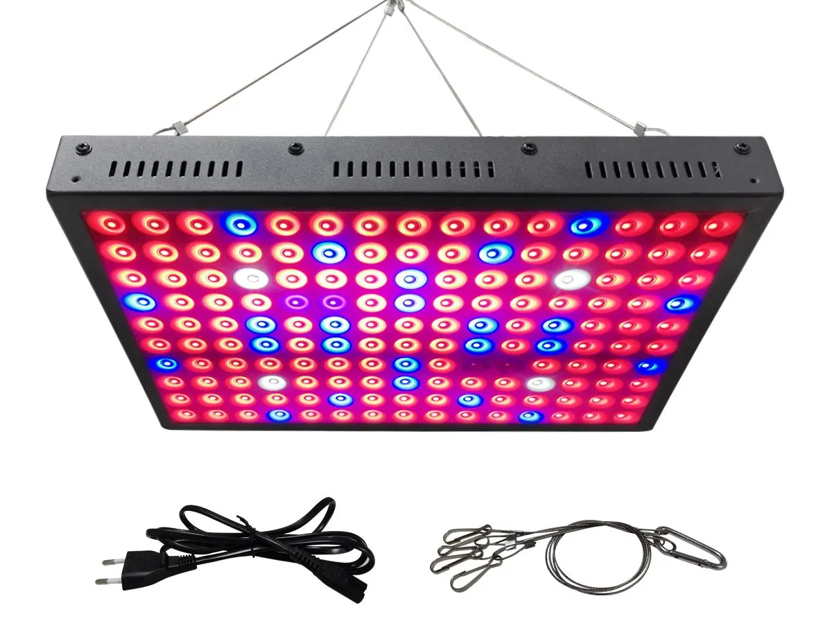 image007001 image007001